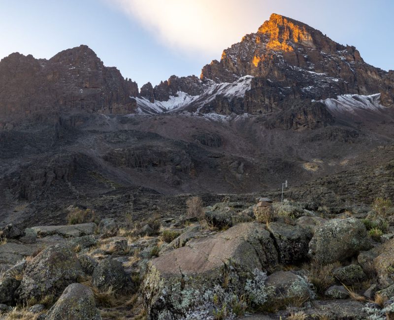 pexels-balazsimon-15994016